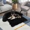 Plush Calming Dog Couch Bed with Removable and Washable Zipper Cover